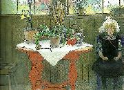 Carl Larsson kaktus-lisbeth i ateljen Germany oil painting artist